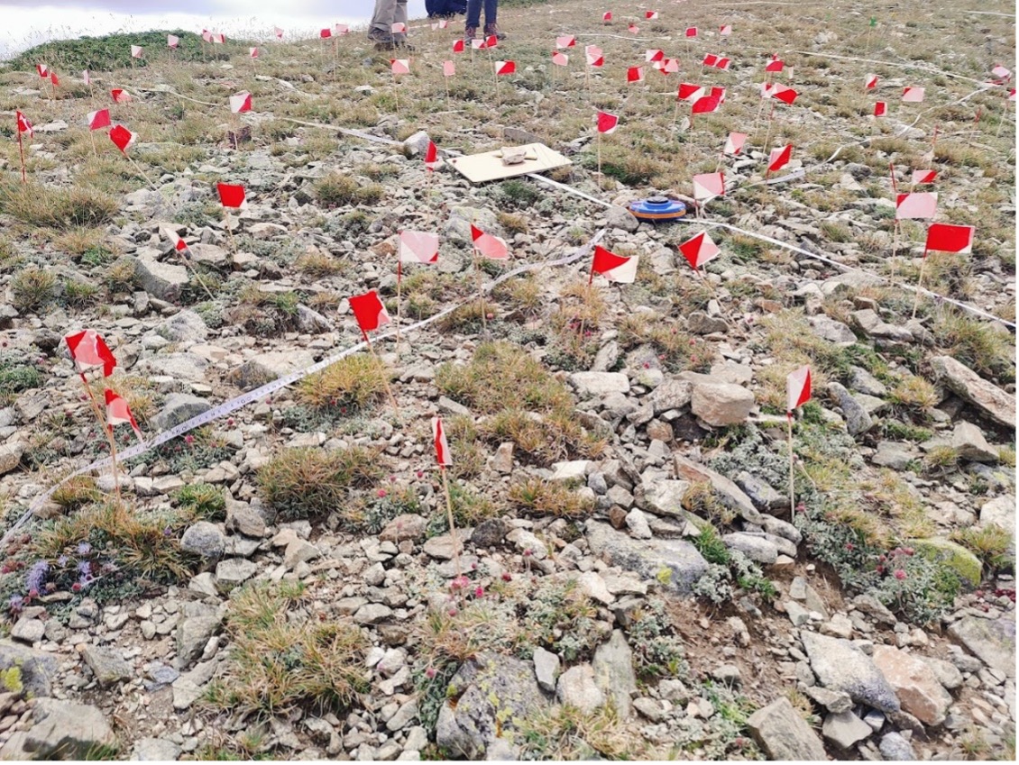 Curso de Conservación de Flora en la Sierra de Guadarrama