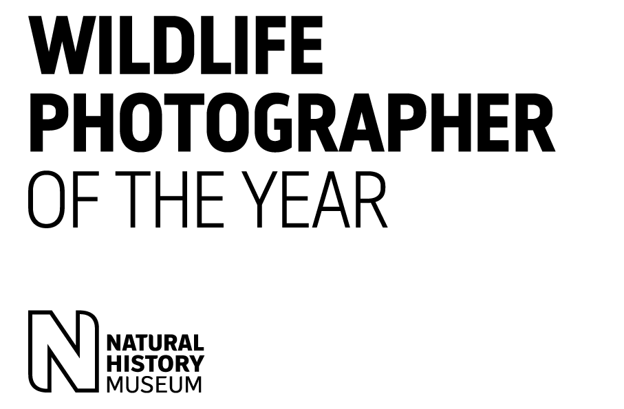 El prestigioso concurso de fotografía Wildlife Photographer of the Year celebra su 60 Aniversario